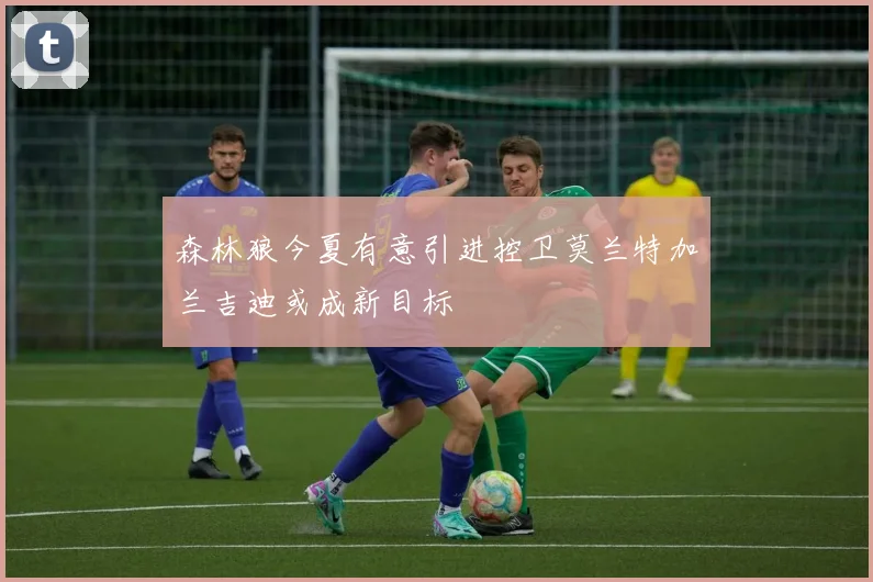 森林狼今夏有意引进控卫莫兰特加兰吉迪或成新目标